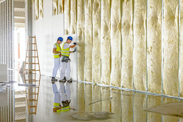 Best Insulation Installation Cost  in Staples, CT